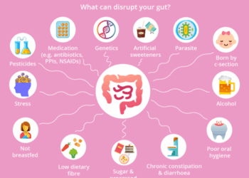 8 ways to improve your gut health - Evergreen Life