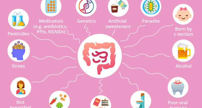 8 ways to improve your gut health - Evergreen Life